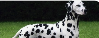 Cover Photo