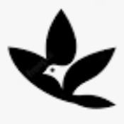 Logo Photo